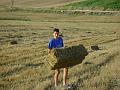 Preparazione campo (9)